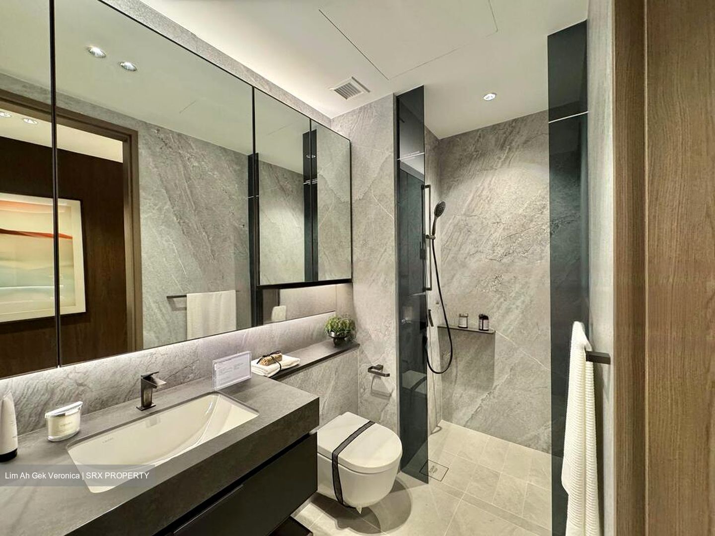 Zion Road (D3), Condominium #469112511